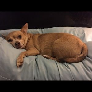 Meet your Posher, Medina